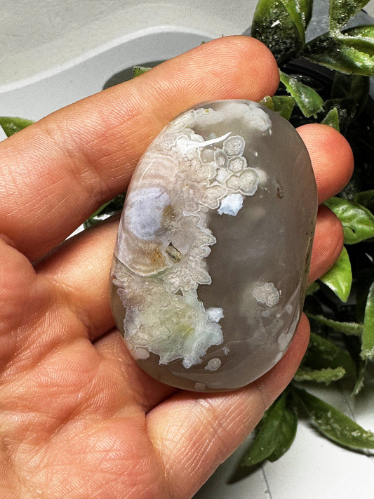 Flower Agate Palm