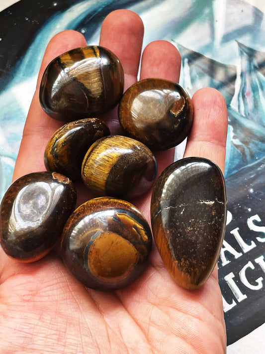 Tigers eye tumble