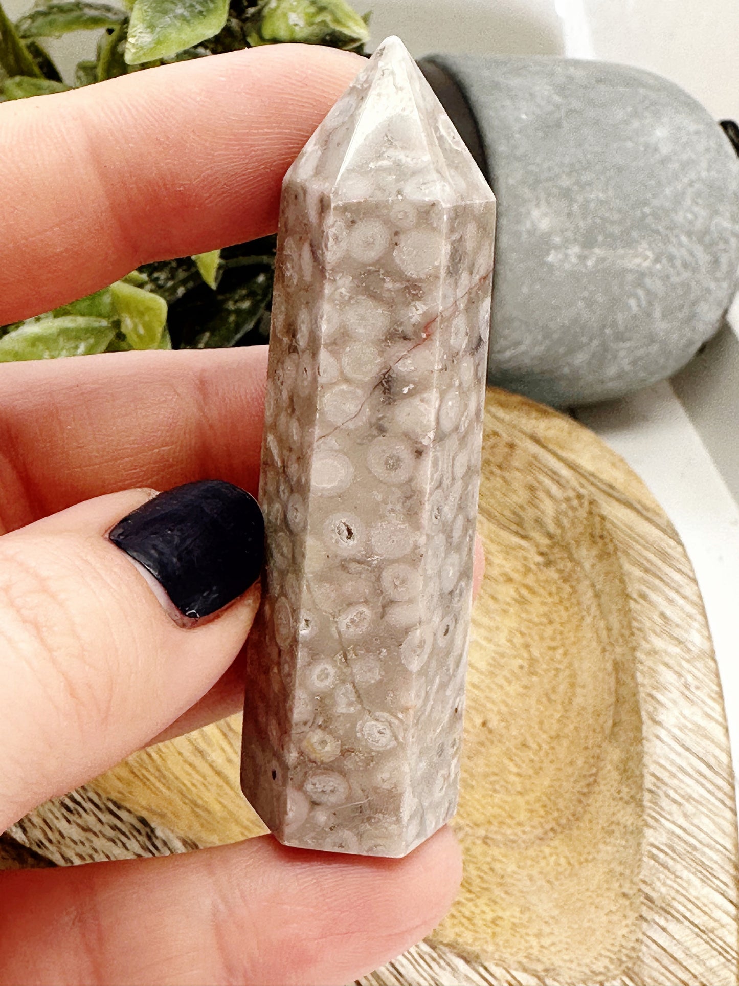 Fossil Coral Jasper - Chipped